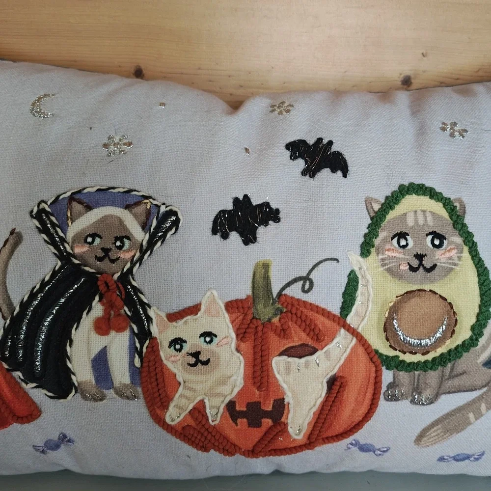 Humane‎ World for Animals Purple Cat Costume Trick Or Treat Halloween  Pillow D1